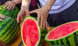 免费吃瓜缅甸,揭秘神秘国度的美食之旅